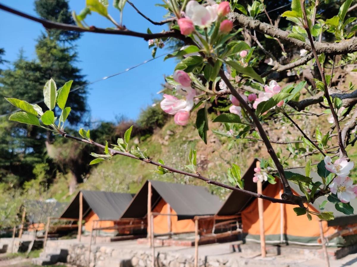 Himtrek Riverside Camps & Hostel Manali Luaran gambar
