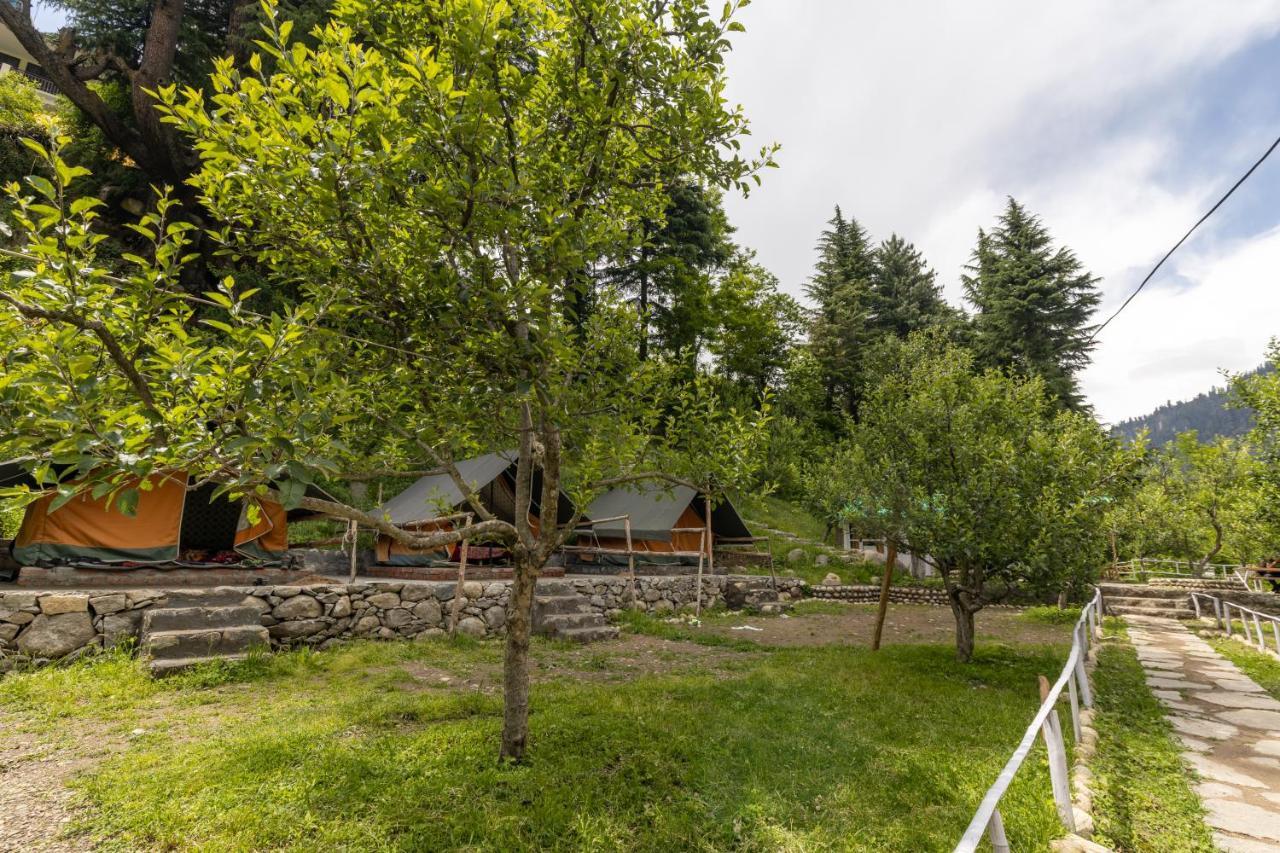Himtrek Riverside Camps & Hostel Manali Luaran gambar