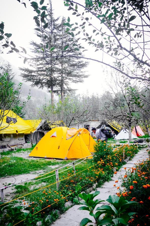 Himtrek Riverside Camps & Hostel Manali Luaran gambar