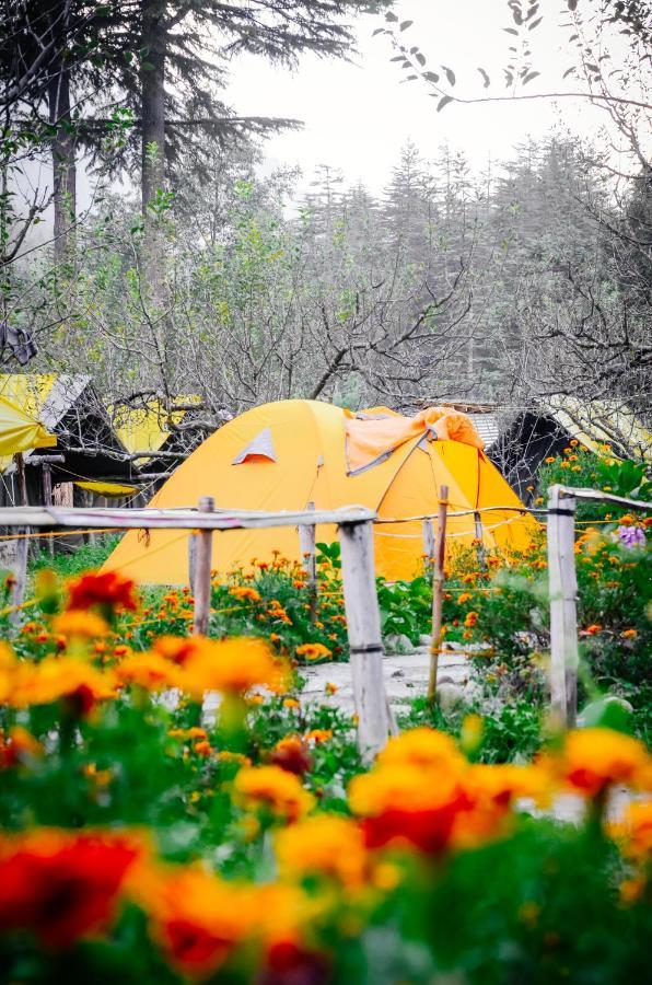 Himtrek Riverside Camps & Hostel Manali Luaran gambar