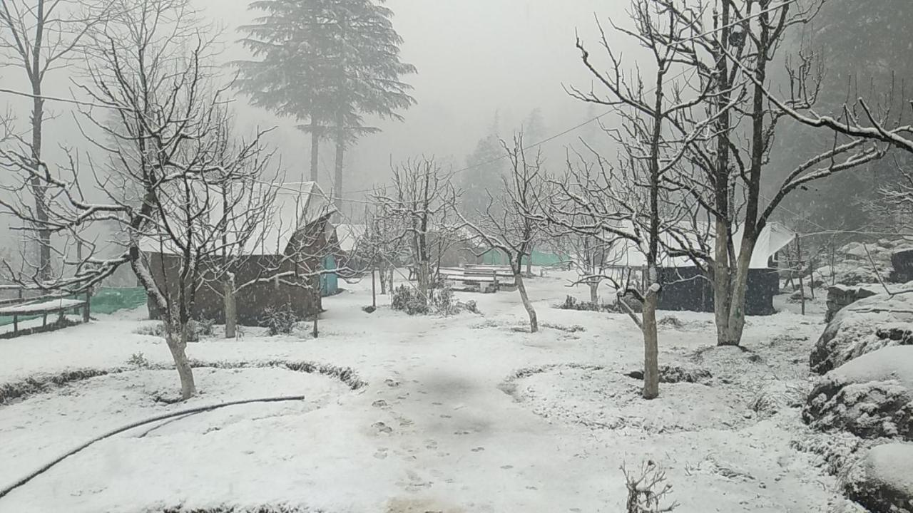 Himtrek Riverside Camps & Hostel Manali Luaran gambar
